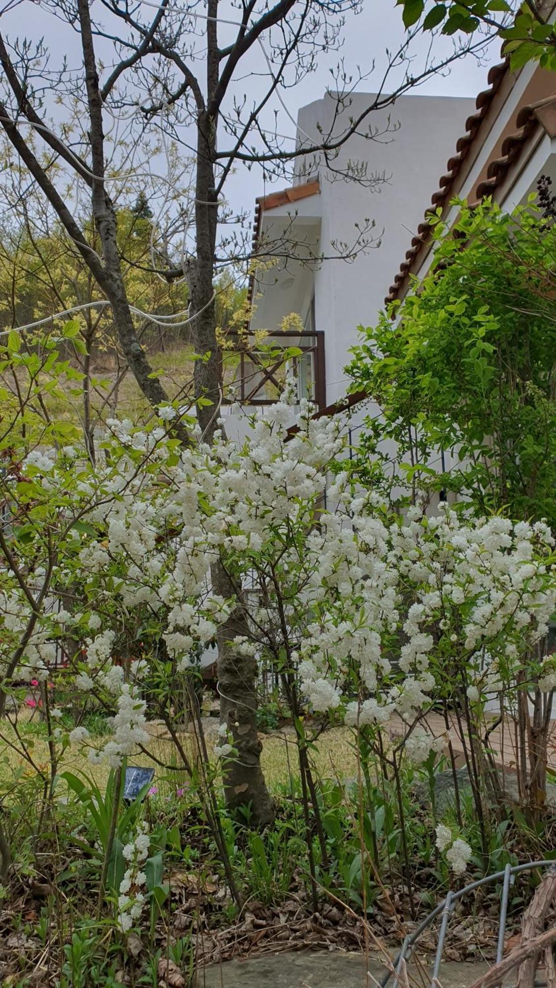 Saint Paul De Vence Villa Damyang Room photo